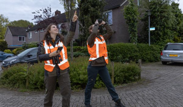 Waarom schakelen we soms een ecoloog in?